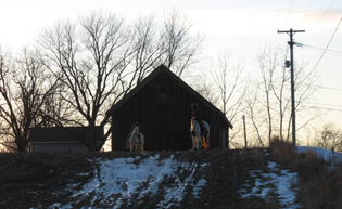 Winter Trail Riding